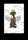 Angel Wing custom drawing